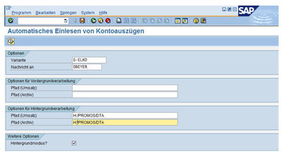 Automatisches Einlesen von Kontoauszügen mir der PROMOS Lösung in SAP