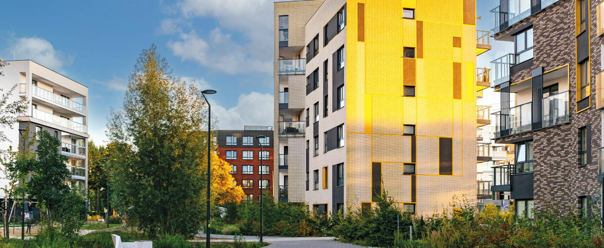 Edition No. 38 / December 2024 PROMOS Fachmagazin Informationstechnologie & Immobilien (IT&I) Ausgabe Nr. 38