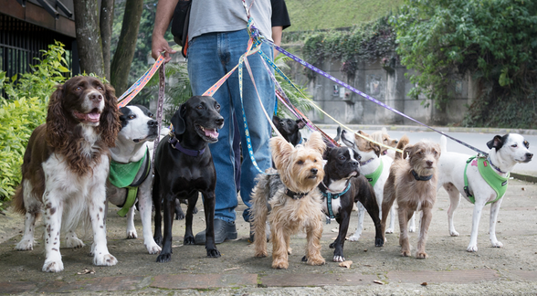 IT&I Magazin Nr. 24 -