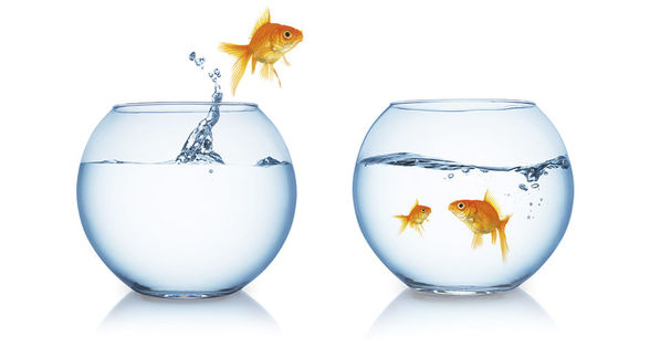 IT&I Magazin Nr. 21 -